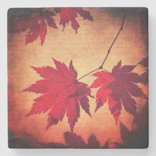 Japanese maple tree leaf script fall red orange  stone coaster