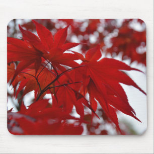 Japanese Maple Tree Mouse Pad