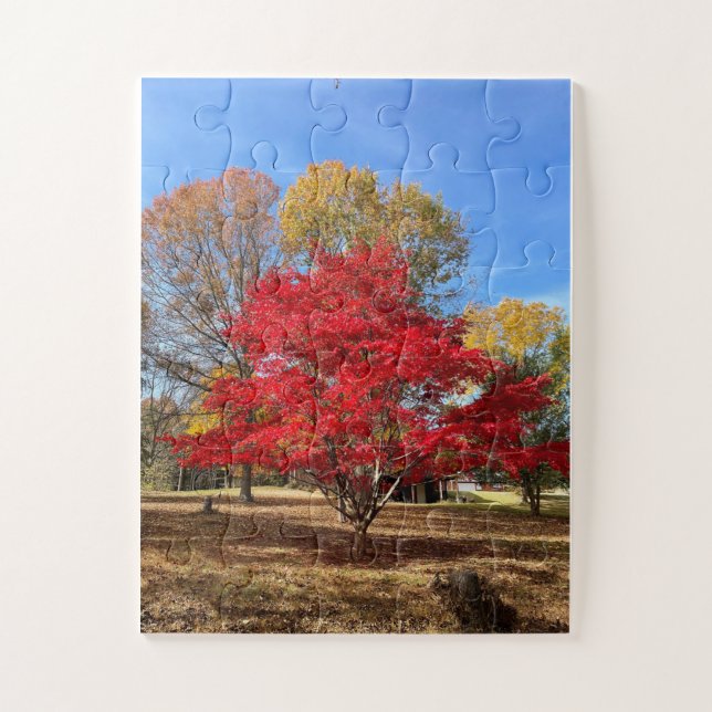 Japanese Maple Tree Puzzle (Vertical)