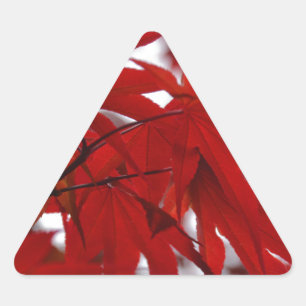Japanese Maple Tree Triangle Sticker