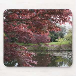 Japanese maple trees in Van Dusen Botanical Garden Mouse Pad