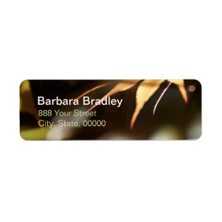 Japanese Maples & Blur 2 Address labels