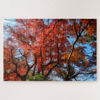 Japanese Maples Jigsaw Puzzle