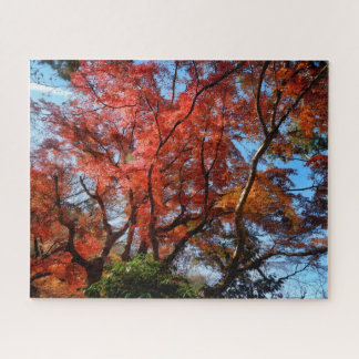 Japanese Maples Jigsaw Puzzle