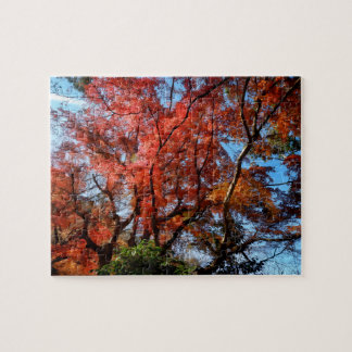 Japanese Maples Jigsaw Puzzle