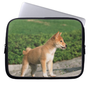Japanese Midget Shiba 2 Laptop Sleeve