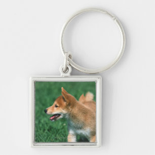 Japanese Midget Shiba Key Ring