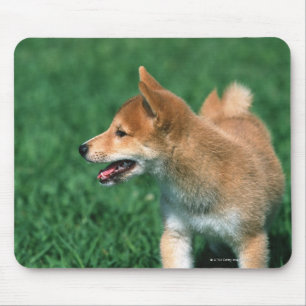 Japanese Midget Shiba Mouse Pad