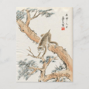 Japanese Monkey Postcard