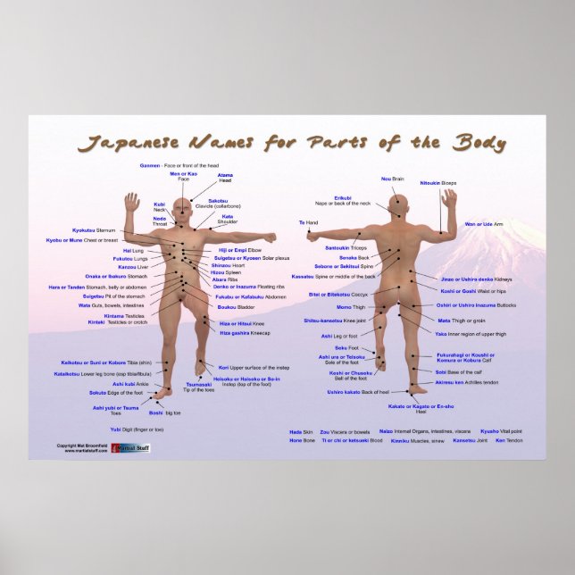 Japanese Names for Parts of the Body Poster (Front)