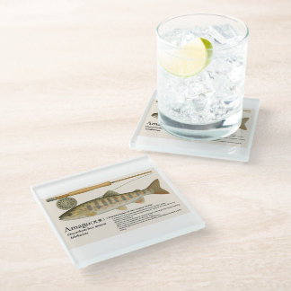 Japanese Native Trout – Amago Glass Coaster