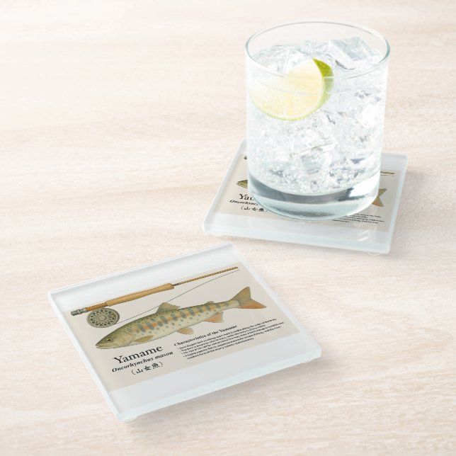Japanese Native Trout – Yamame  Glass Coaster (Angled)