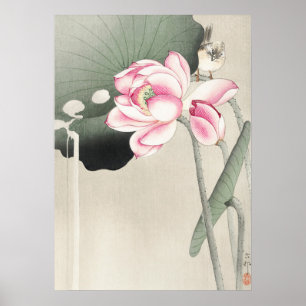 Japanese painting by ohara koson,vintage小原古 poster