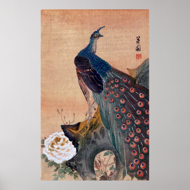 Japanese Peacock no.1 Poster (Front)