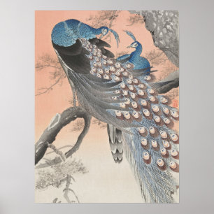 Japanese Peacocks On Tree By Ohara Koson Art Poster