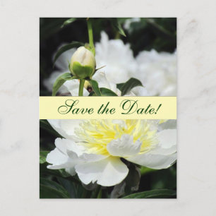 Japanese Peonies Save the Date Announcement Postcard