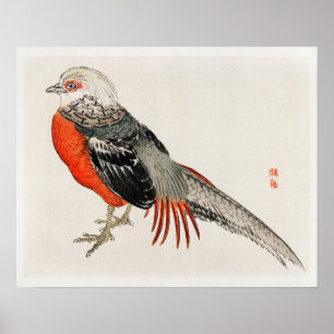 Japanese pheasant by Kōno Bairei (1844-1895) Poster