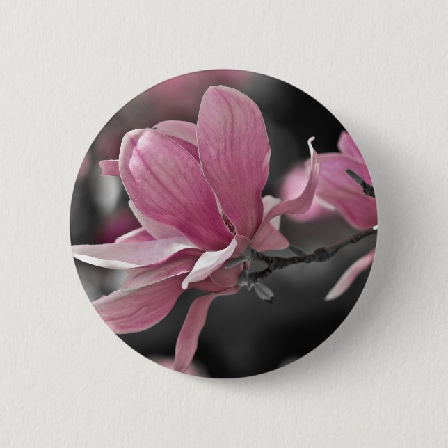 Japanese Pink Saucer Magnolia 6 Cm Round Badge (Front)