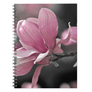 Japanese Pink Saucer Magnolia Spiral Notebook