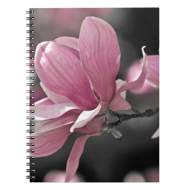 Japanese Pink Saucer Magnolia Spiral Notebook (Front)