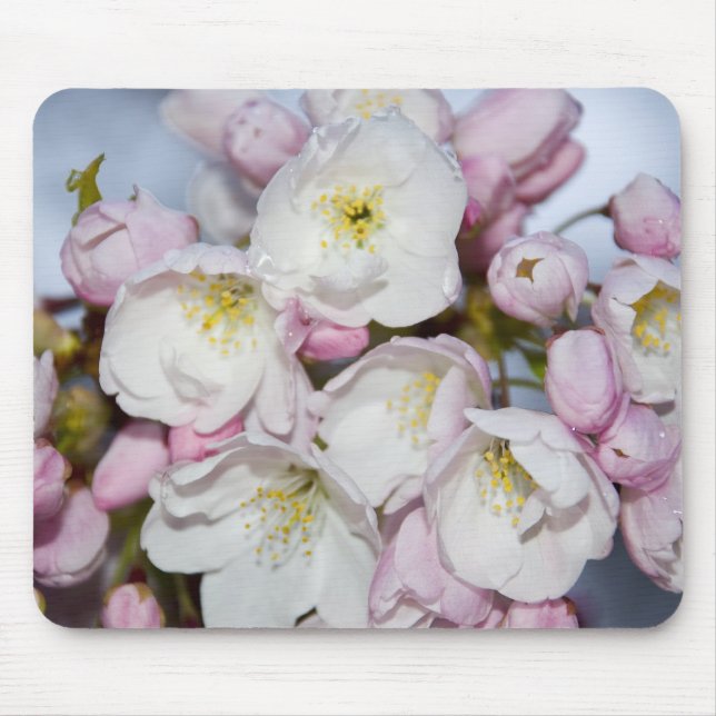 Japanese Plum Mousepad (Front)