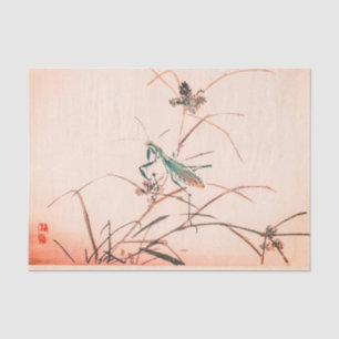 JAPANESE PRAYING MANTIS PINK Tissue Paper