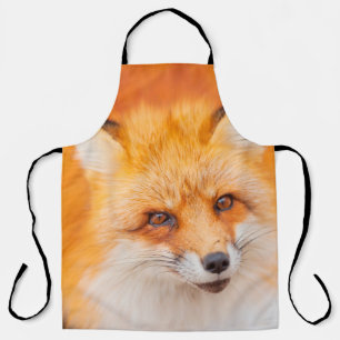 Japanese red fox resting, sleeping and playing in apron