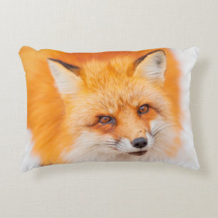 Japanese red fox resting, sleeping and playing in decorative cushion