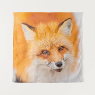 Japanese red fox resting, sleeping and playing in  tapestry