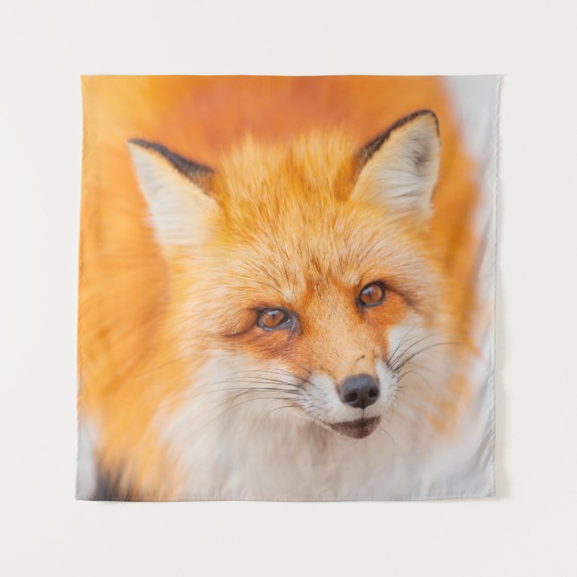 Japanese red fox resting, sleeping and playing in  tapestry (Front)