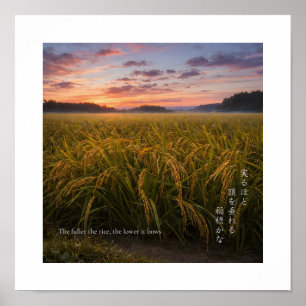 Japanese Rice Field Sunrise – Nature Wisdom Print