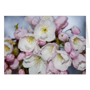 Japanese Rose Card