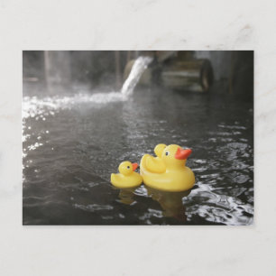Japanese Rubber Duckies Postcard