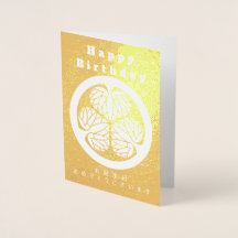 Japanese Samurai History Tokugawa Radiant 