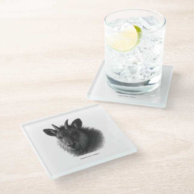Japanese Serow Black & White Fine Art Glass Coaster (Angled)