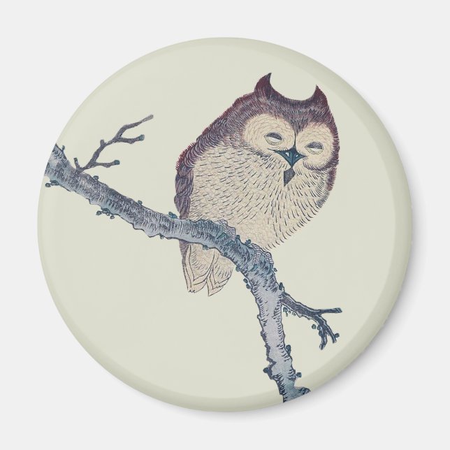 Japanese Sleeping Owl Night Artwork Magnet (Front)