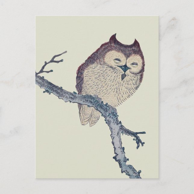 Japanese Sleeping Owl Night Artwork Postcard (Front)