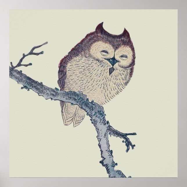 Japanese Sleeping Owl Night Artwork Poster (Front)