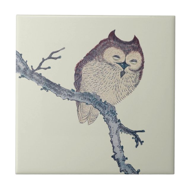 Japanese Sleeping Owl Night Artwork Tile (Front)