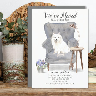 Japanese Spitz Dog   Moving Announcement