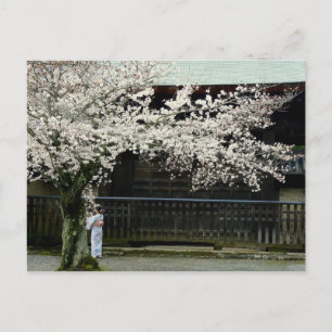 Japanese spring postcard