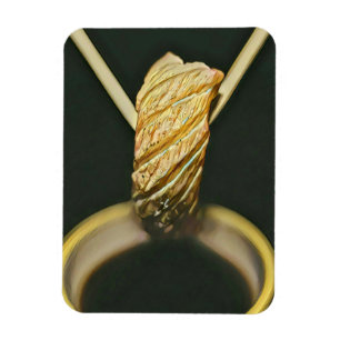 Japanese sushi lover magnet