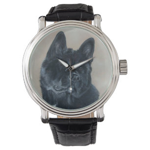 Japanese type American black akita dog  Watch