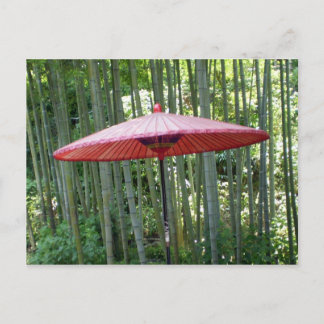 Japanese umbrella among the bamboo postcard