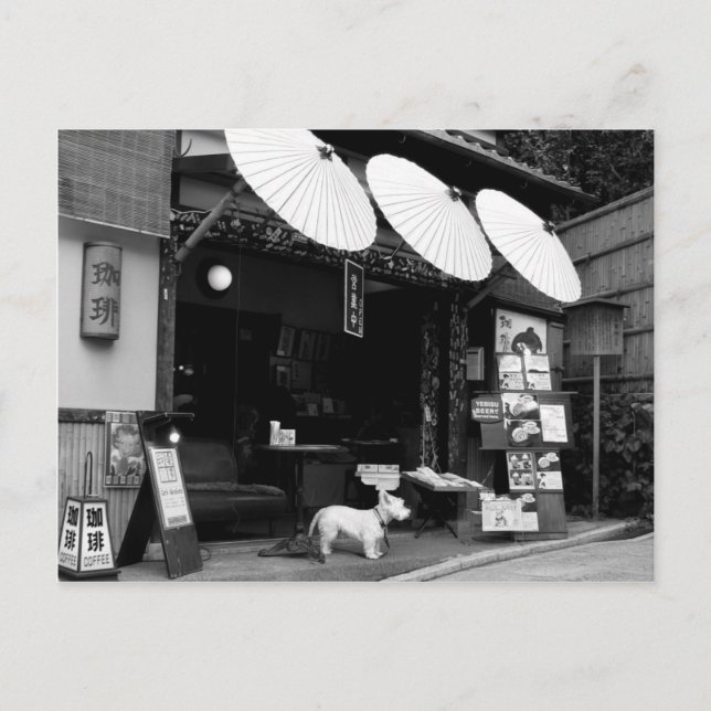 Japanese Umbrella Shop Postcard (Front)