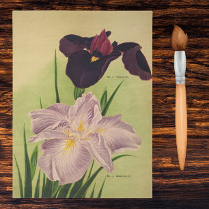 Japanese Water Iris Vintage Botanical Catalogue Tissue Paper