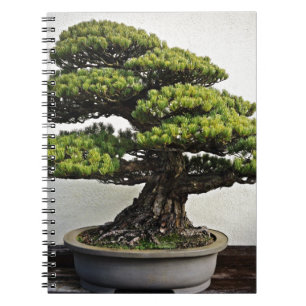 Japanese White Pine Bonsai Spiral Notebook