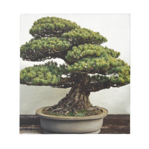 Japanese White Pine Bonsai Tree Notepad