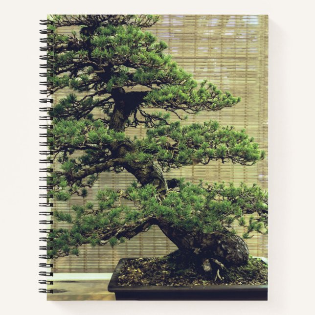 Japanese White Pine Bonsai Tree Photo Notebook (Front)