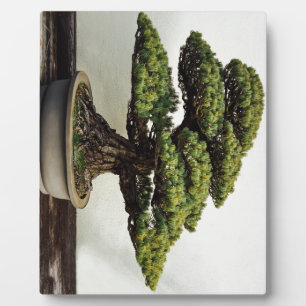 Japanese White Pine Bonsai Tree Plaque